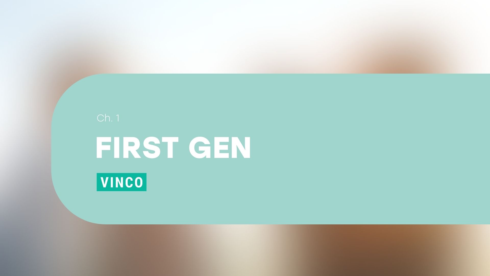 Chapter 1 4 Things I Wish I Knew As A First Generation College Student 